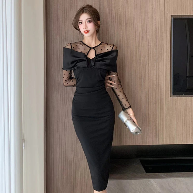 Black Sheer Mesh Long Sleeve Bodycon Dress